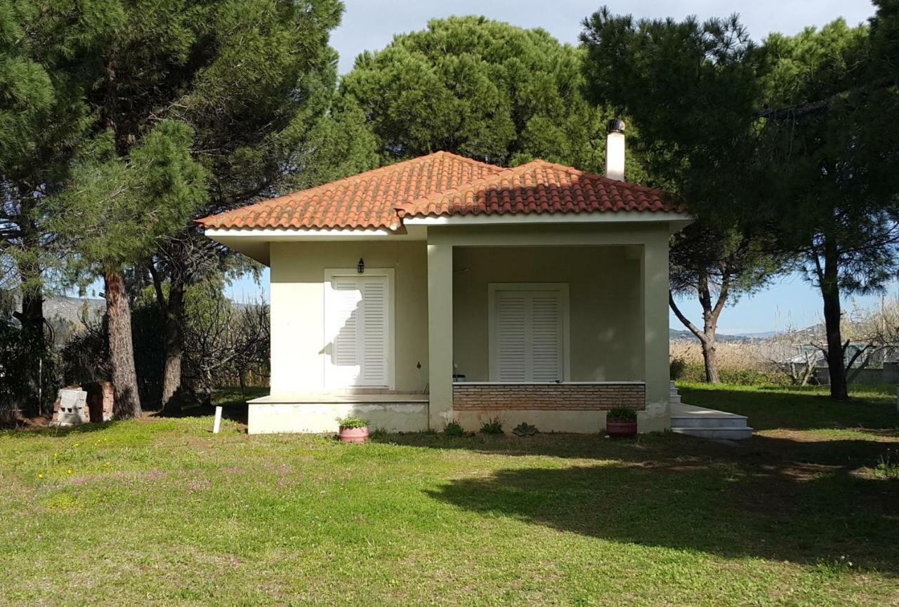 Villa Sunny Day Marathón Extérieur photo