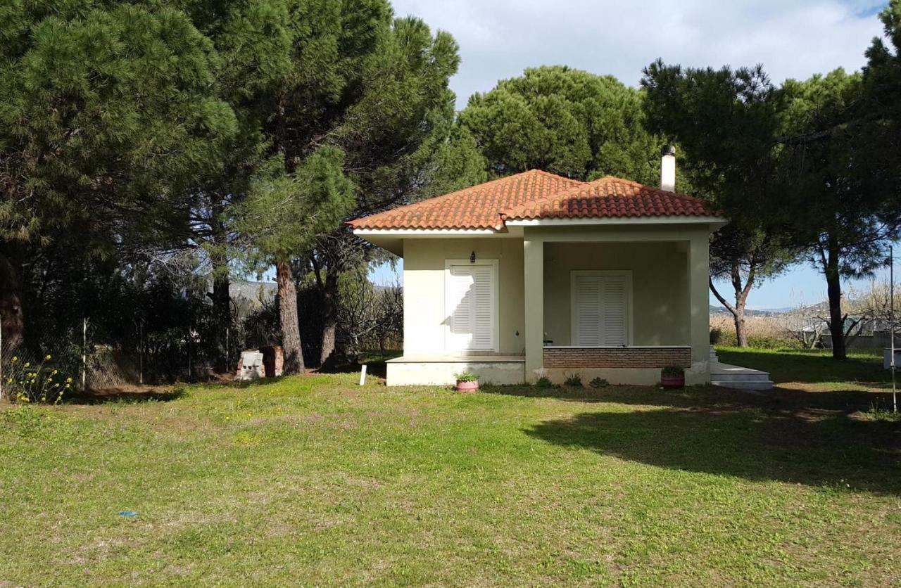 Villa Sunny Day Marathón Extérieur photo